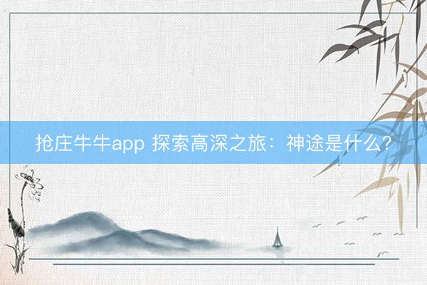 抢庄牛牛app 探索高深之旅：神途是什么？
