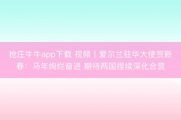 抢庄牛牛app下载 视频丨爱尔兰驻华大使贺新春：马年绚烂奋进 期待两国捏续深化合营