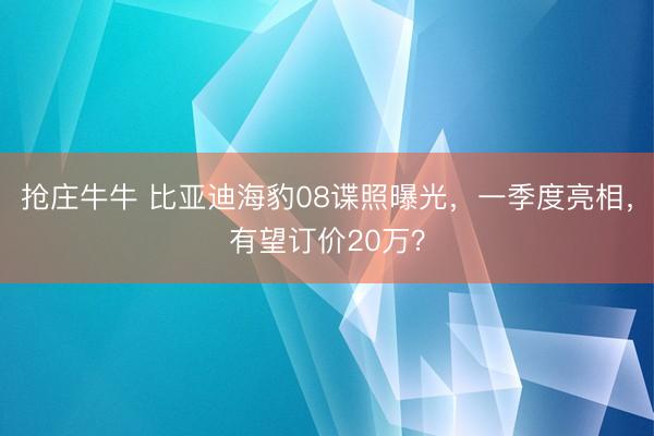 抢庄牛牛 比亚迪海豹08谍照曝光，一季度亮相，有望订价20万？