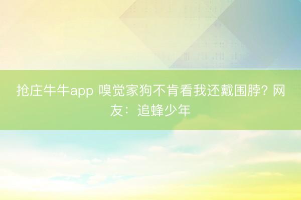 抢庄牛牛app 嗅觉家狗不肯看我还戴围脖? 网友：追蜂少年