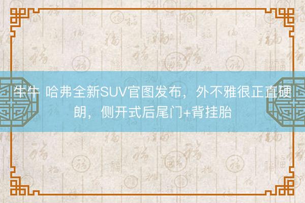 牛牛 哈弗全新SUV官图发布，外不雅很正直硬朗，侧开式后尾门+背挂胎