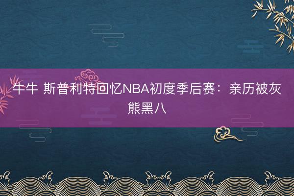 牛牛 斯普利特回忆NBA初度季后赛：亲历被灰熊黑八