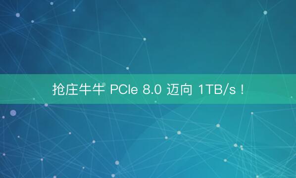 抢庄牛牛 PCIe 8.0 迈向 1TB/s !