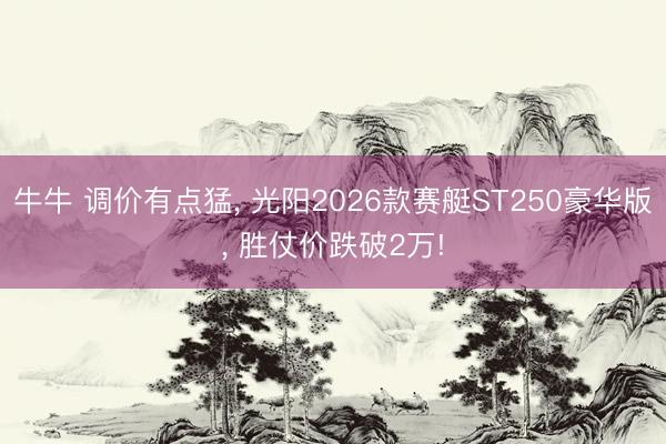 牛牛 调价有点猛， 光阳2026款赛艇ST250豪华版， 胜仗价跌破2万!