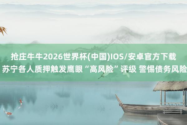 抢庄牛牛2026世界杯(中国)IOS/安卓官方下载 苏宁各人质押触发鹰眼“高风险”评级 警惕债务风险