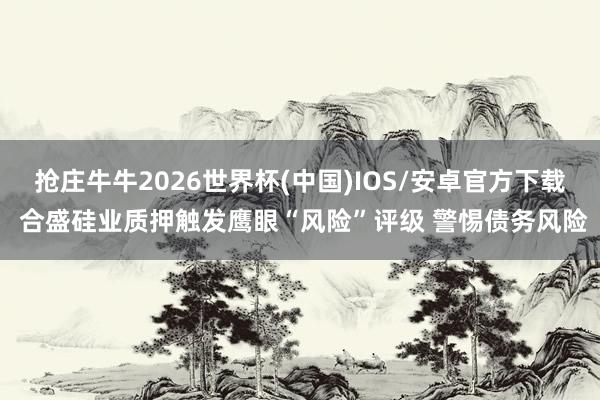 抢庄牛牛2026世界杯(中国)IOS/安卓官方下载 合盛硅业质押触发鹰眼“风险”评级 警惕债务风险