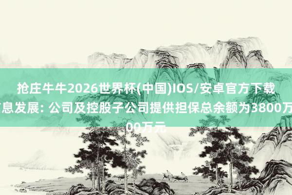 抢庄牛牛2026世界杯(中国)IOS/安卓官方下载 信息发展: 公司及控股子公司提供担保总余额为3800万元