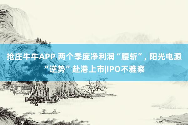 抢庄牛牛APP 两个季度净利润“腰斩”， 阳光电源“逆势”赴港上市|IPO不雅察