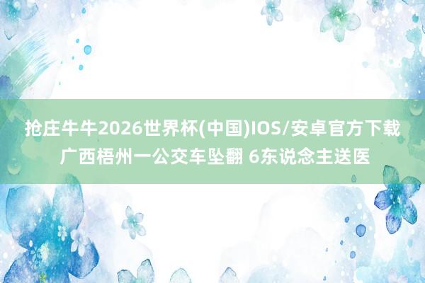 抢庄牛牛2026世界杯(中国)IOS/安卓官方下载 广西梧州一公交车坠翻 6东说念主送医