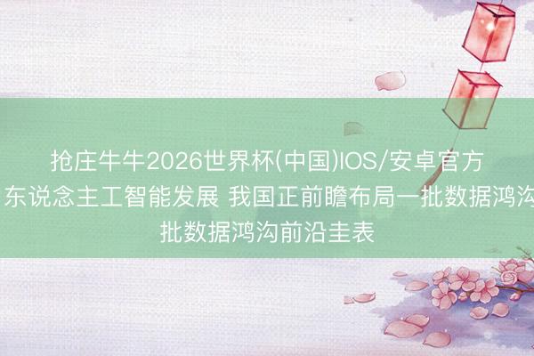 抢庄牛牛2026世界杯(中国)IOS/安卓官方下载 助力东说念主工智能发展 我国正前瞻布局一批数据鸿沟前沿圭表