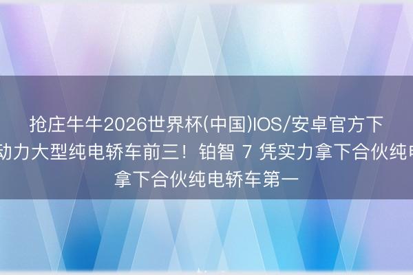 抢庄牛牛2026世界杯(中国)IOS/安卓官方下载 踏进新动力大型纯电轿车前三！铂智 7 凭实力拿下合伙纯电轿车第一