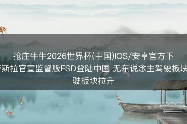 抢庄牛牛2026世界杯(中国)IOS/安卓官方下载 特斯拉官宣监督版FSD登陆中国 无东说念主驾驶板块拉升