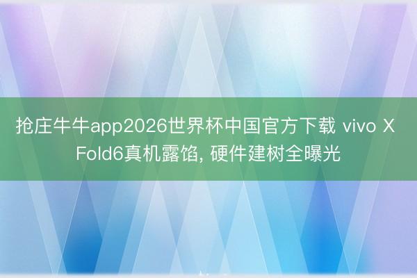 抢庄牛牛app2026世界杯中国官方下载 vivo X Fold6真机露馅， 硬件建树全曝光